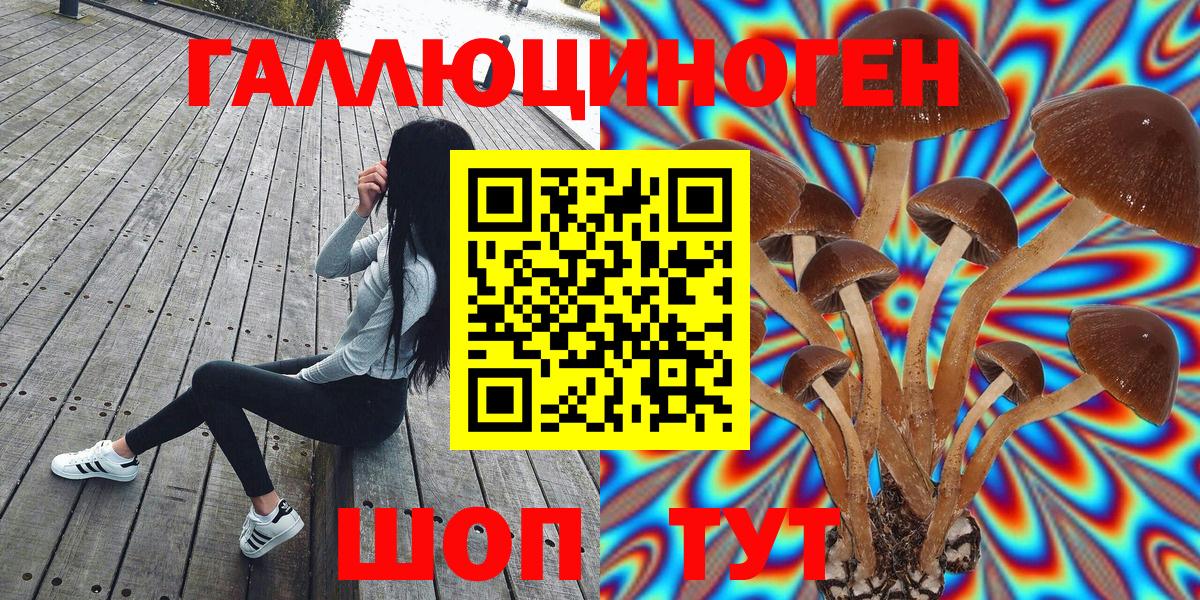 Галлюциногенные грибы Cubensis  Псилоцибиновые грибы прущие грибы  Вход с VPN  Димитровград 